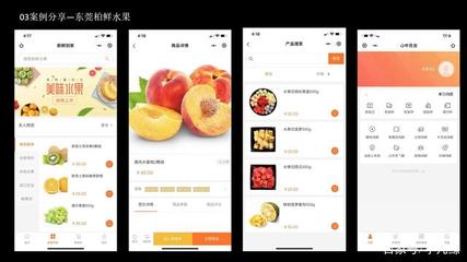 利用互联网技术打造家居会员商城小程序的策略与实践